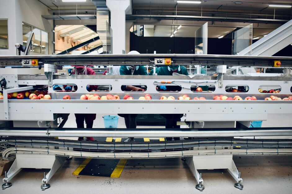 A set of conveyor belts in a food processing factory