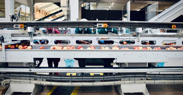 A set of conveyor belts in a food processing factory